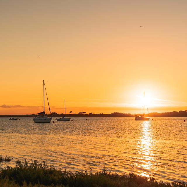 Soleil couchant sur le havre de Regnéville sur mer