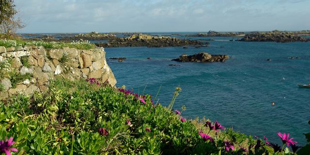 Archipel De Chausey Au Large De La Manche En Normandie (2)