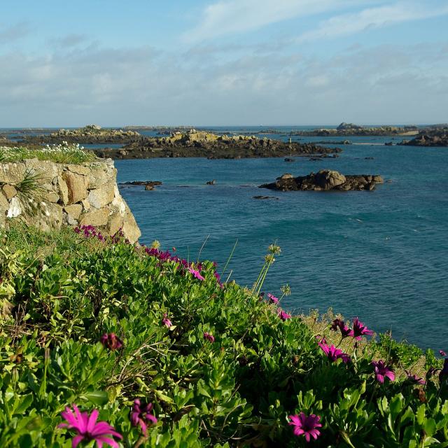 Archipel De Chausey Au Large De La Manche En Normandie (2)