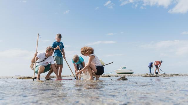 Pêche a pied à Hauteville sur mer