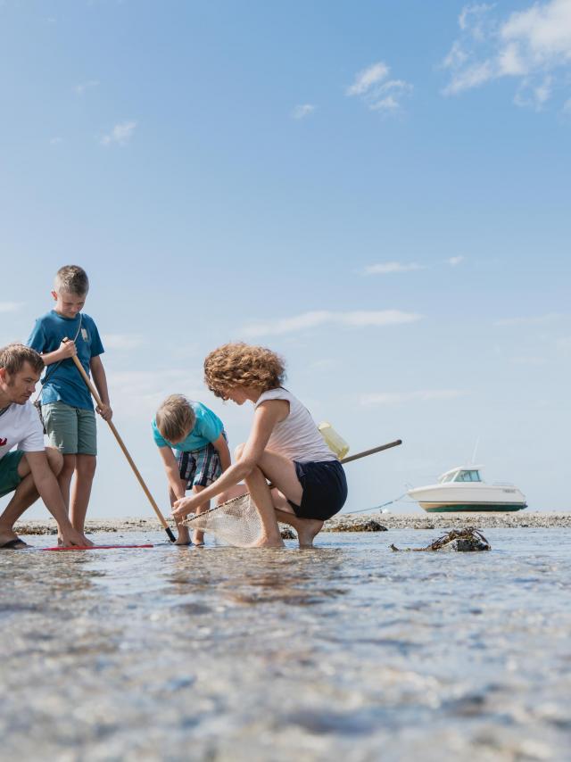 Pêche a pied à Hauteville sur mer