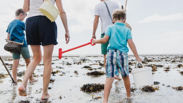 séjour en famille à Coutances mer et bocage, trouvez votre hébergement