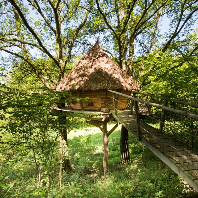 Cabanes dans les arbres à Savigny La Landerie chez Madame Cauchard.