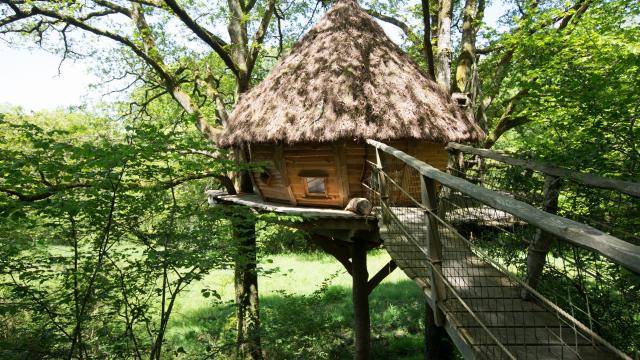 Cabanes dans les arbres à Savigny La Landerie chez Madame Cauchard.