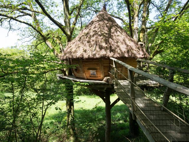 Cabanes dans les arbres à Savigny La Landerie chez Madame Cauchard.