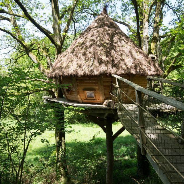 Cabanes dans les arbres à Savigny La Landerie chez Madame Cauchard.