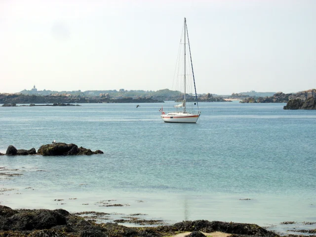 Croisieres Voidie Voile Dans La Baie Du Mont Saint Michel Et à Chausey (3)