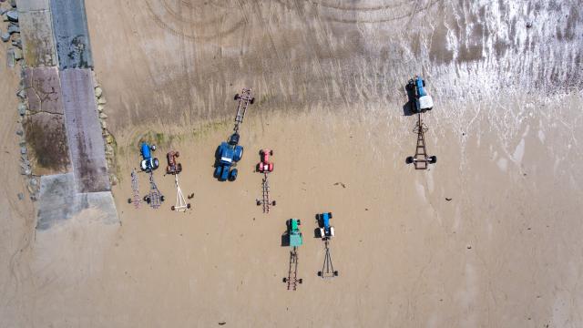 Tracteurs sur l'estran