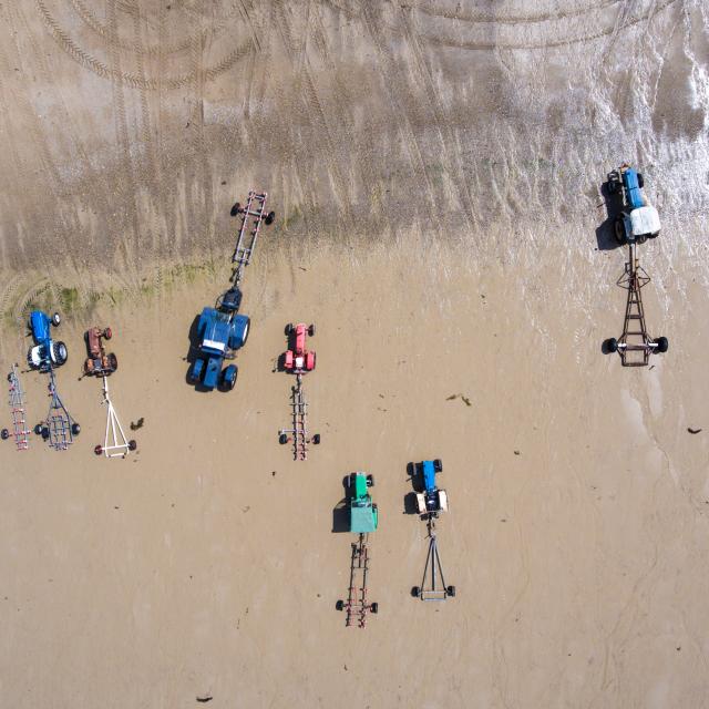 Tracteurs sur l'estran