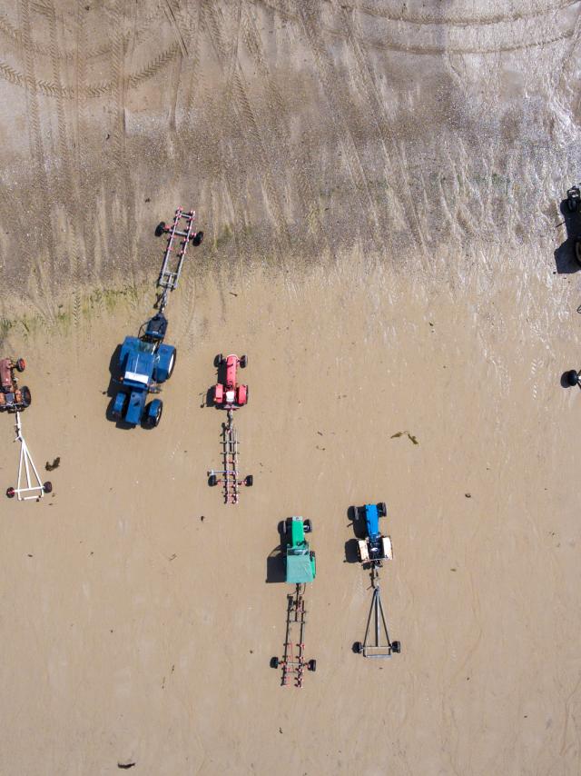 Tracteurs sur l'estran