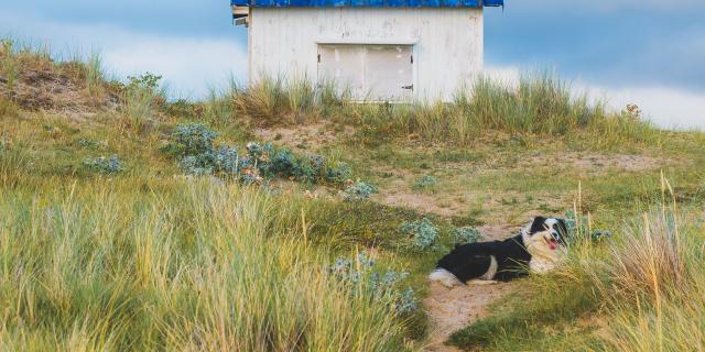 Chemin de randonnée dans les cabines de gouville-sur-mer