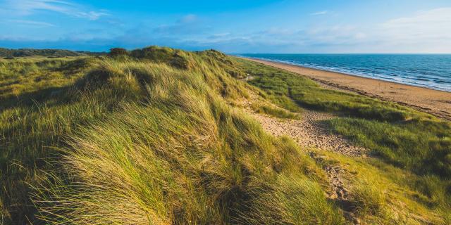 Espace naturel protégé des dunes d'Annoville