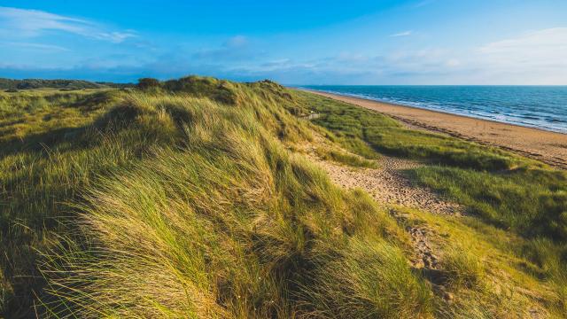 Espace naturel protégé des dunes d'Annoville