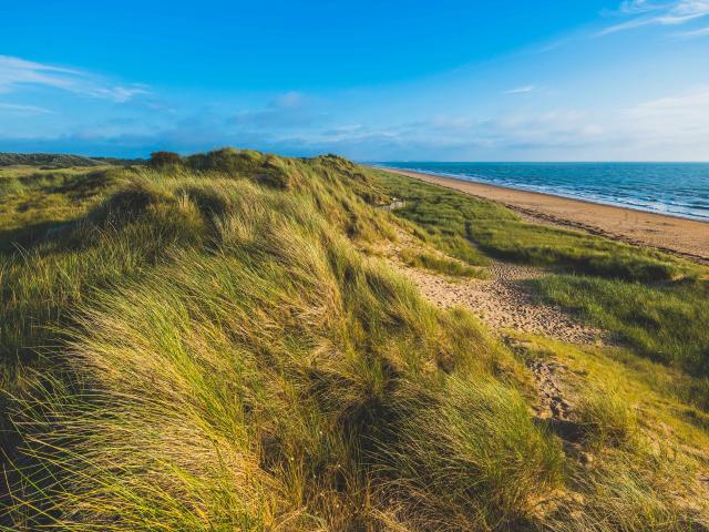 Espace naturel protégé des dunes d'Annoville