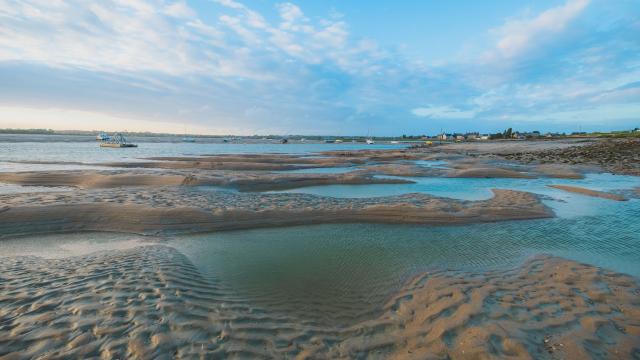 Havre de regnéville sur mer à marée basse