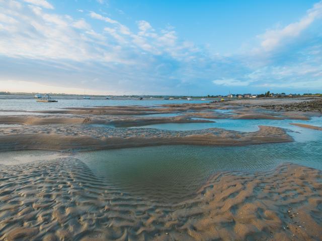 Havre de regnéville sur mer à marée basse