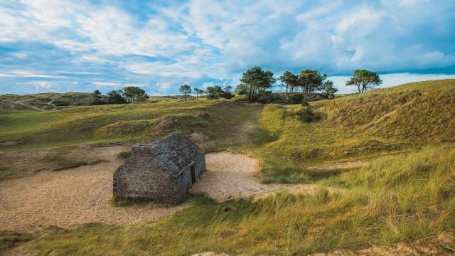 Dunes de Blainville sur Mer