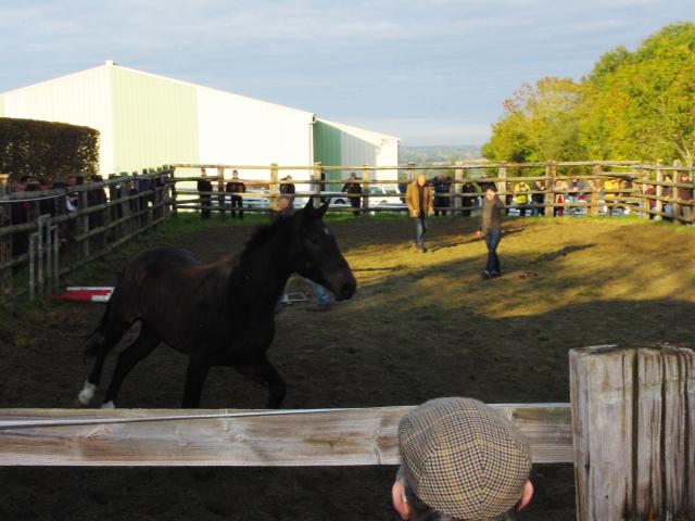 Foire Saint Luc de Gavray sur Sienne