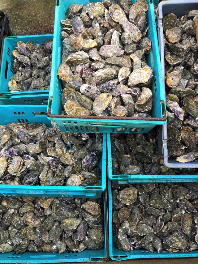 Huitres de Blainville-sur-Mer et produits du terroir de gouville-sur-Mer