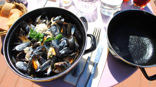 Plat de moules marinières dans un restaurant de Coutances mer et bocage