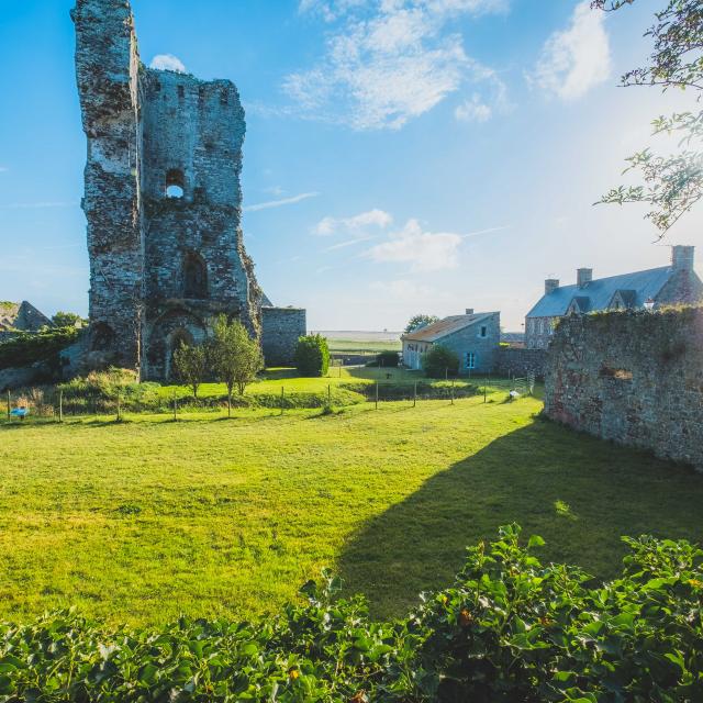 tour du Château de Regneville sur mer