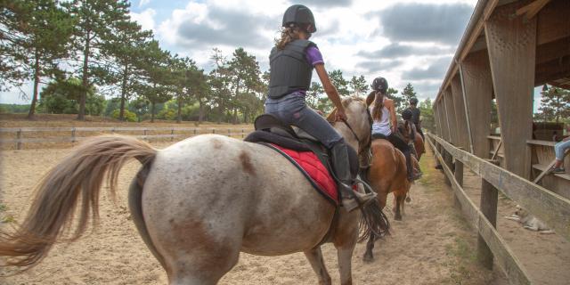 Sports équestre à Coutances mer et bocage