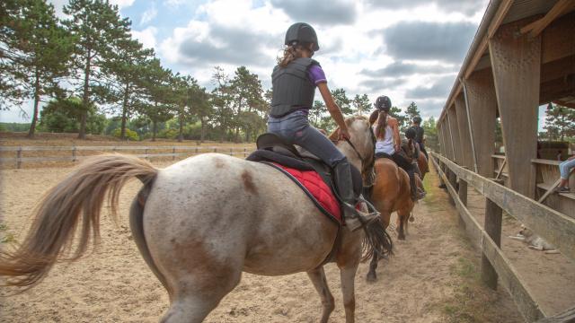 Sports équestre à Coutances mer et bocage