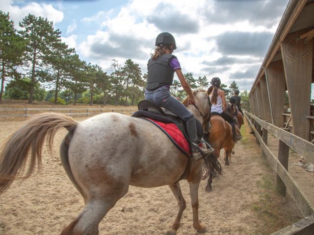 Sports équestre à Coutances mer et bocage