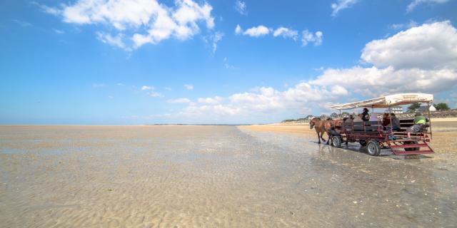 Attelage des grandes marées, animations à Gouville sur Mer et Blainville sur Mer