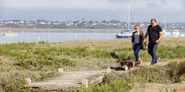 Vacances avec son chien