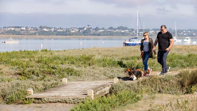 Vacances avec son chien