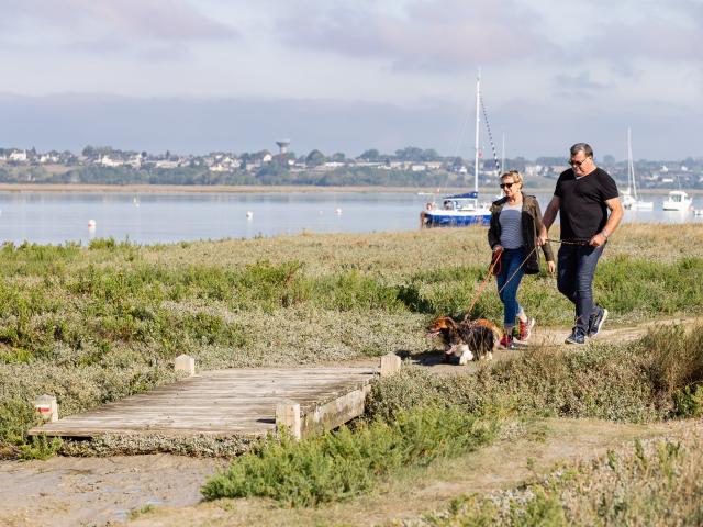 Vacances avec son chien