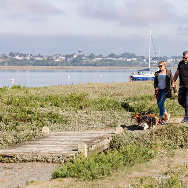 Vacances avec son chien