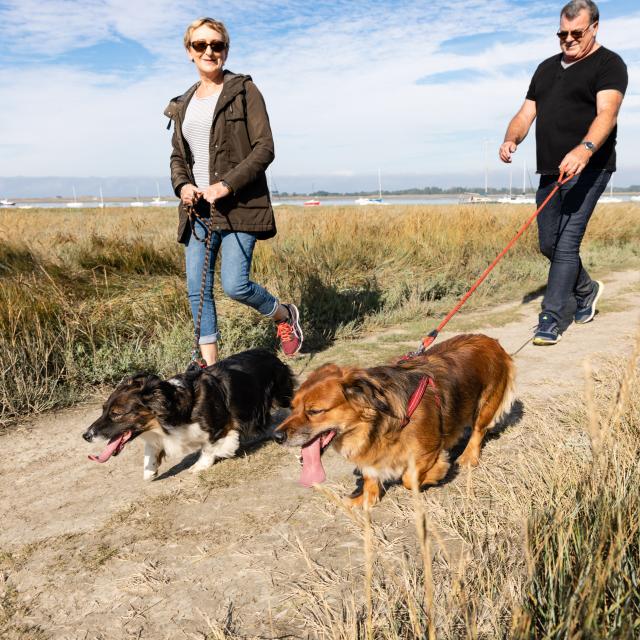 Voyager avec son chien à Coutances mer et bocage