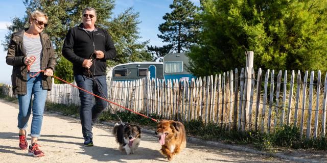 Campings acceptant les chiens à Coutances mer et bocage