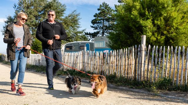 Campings acceptant les chiens à Coutances mer et bocage