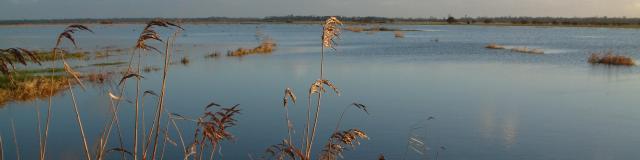 Marais Blanc et la rivière Taute