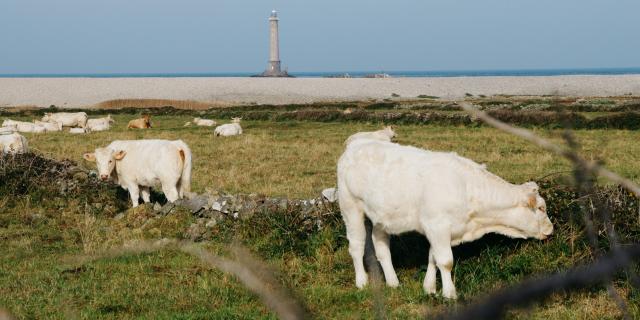 Goury dans la Hague en Normandie