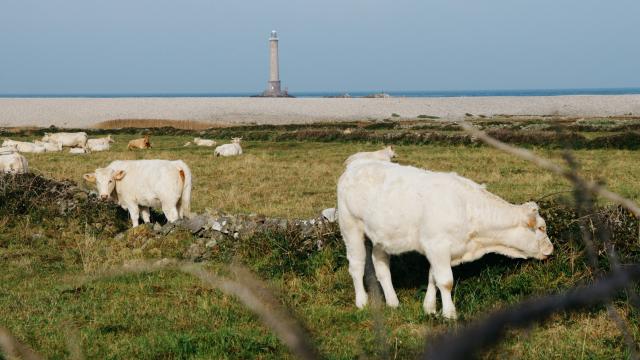 Goury dans la Hague en Normandie