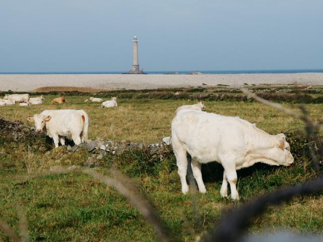 Goury dans la Hague en Normandie