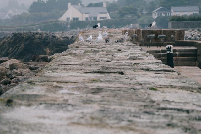 Port du Bequet de Cherbourg en Cotentin