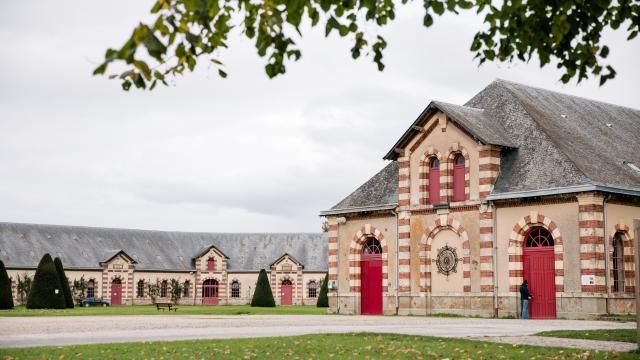 Haras de Saint-Lô