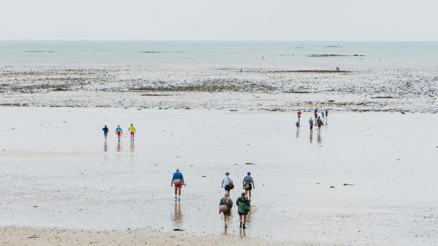 Marée basse à Agon-Coutainville