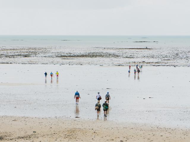 Marée basse à Agon-Coutainville