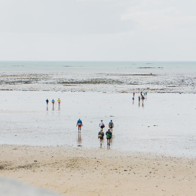 Marée basse à Agon-Coutainville