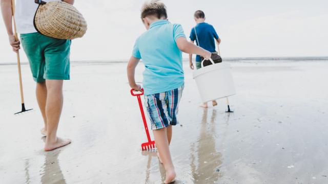 Partir à la pêche à pied en famille avec les enfants à Agon-Coutainville