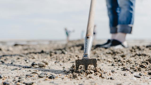 Techniques de pêche à pied à Agon-Coutainville