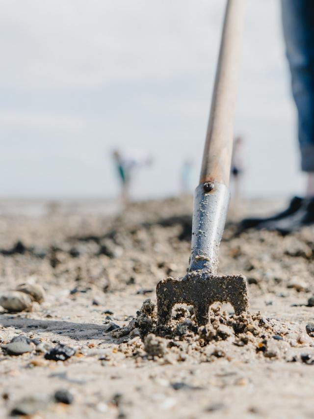 Techniques de pêche à pied à Agon-Coutainville