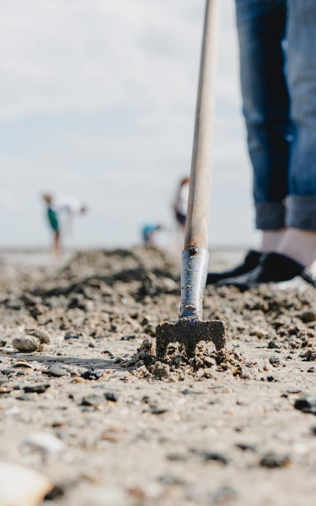 Rateau dans le sable pour la pêche à pied