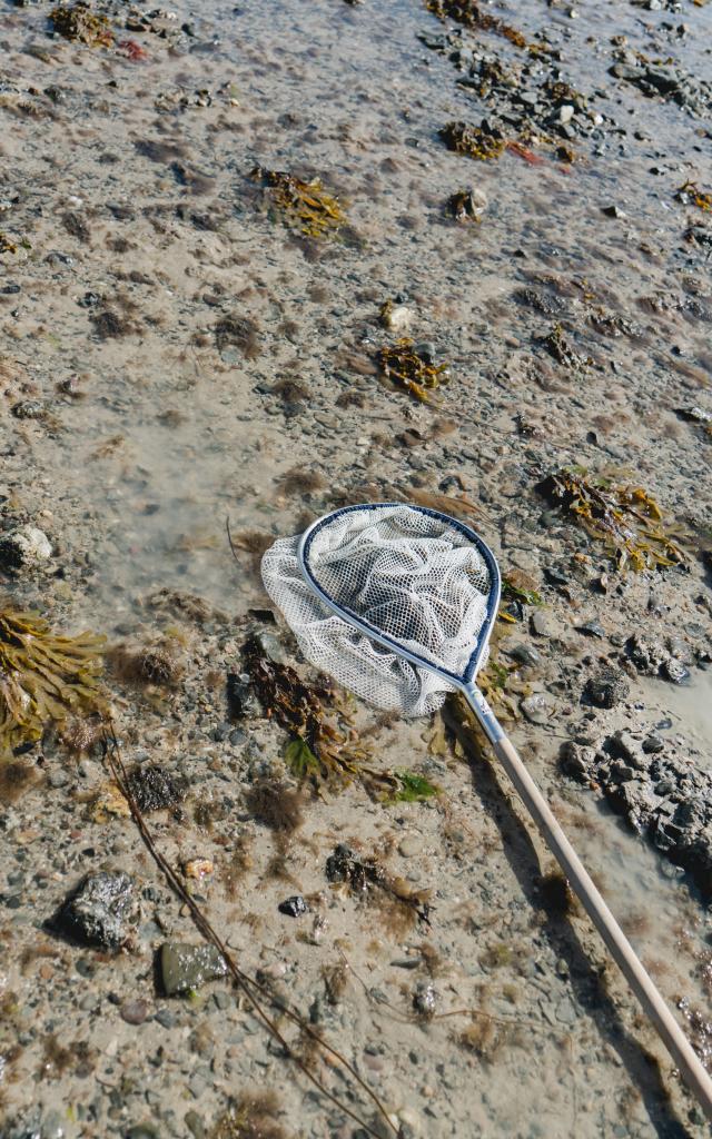 Epuisette pour la pêche à pied à Coutances mer et bocage